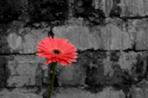 loneliness quotes to view share