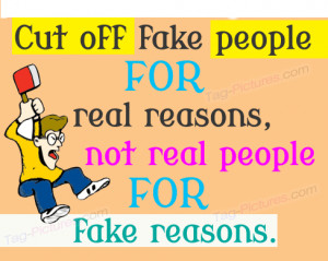 Fake People Haters Image