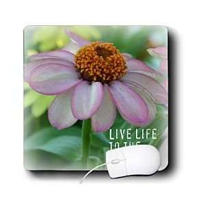 123111481_-life-pink-zinnia-flower-inspirational-quotes-flowers---.jpg
