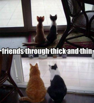 Friends Through Thick And Thin