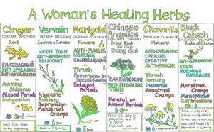 Woman’s Healing Herbs” Wall Chart From Liz Cook