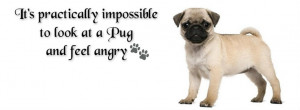 Pug Facebook Cover Photo For Your Timeline. Pug QuotesPug Quotes, Pugs ...