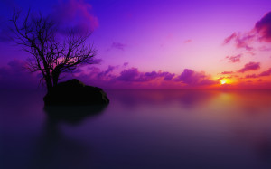 Home - Wallpapers / Photographs - Sunrise and sunset - Sunset in ...