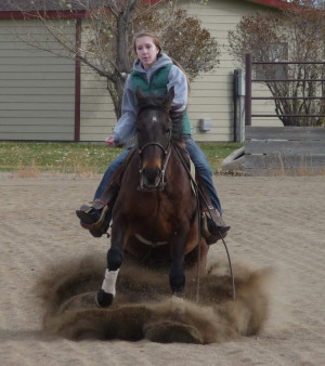 Reining Quotes Renee pipinich reining horses