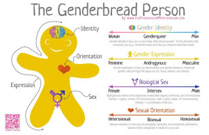The Genderbread Person v3