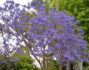 Quotes About Not Giving A Damn And not giving a damn.