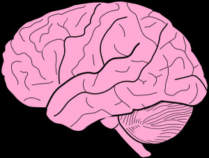 Pink Brain Clipart