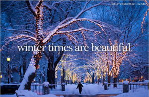Winter Times Are Beautiful