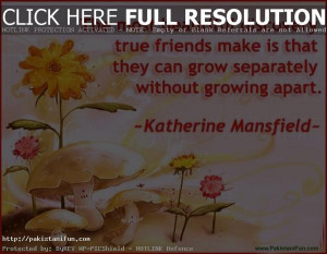 Best Friendship Quotes HD Wallpapers Images