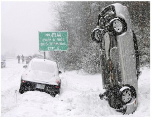 funny florida winter