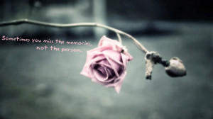 Cool Nature Photography With Quotes Love quotes hd wallpapers