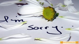 sorry boyfriend