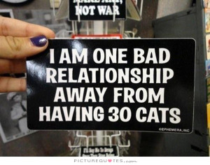 am one bad relationship away from having 30 cats. Picture Quote #1