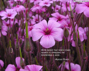 ... music quotes | music quotes wallpapers | awesome music quotes | music