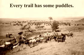 Every trail has some puddles .