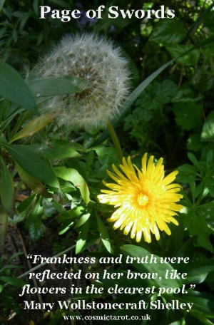 ... of the Dandelion transforms into a seed ball that blows into the air