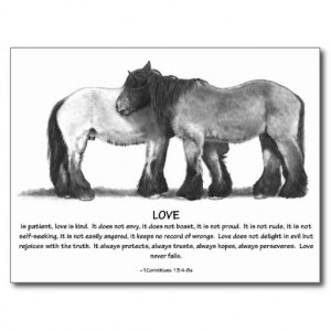 Draft Horses in Pencil: Bible Verses About LOVE Postcard