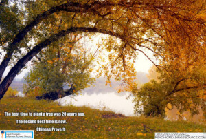 ... Inspirational Quotes The best time to plant a tree was 20 years ago