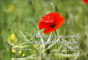 ... quotes, Wherever you stand, be the Soul of that place. – Rumi quotes
