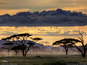 Serengeti National Park Tanzania