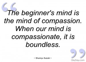The beginner's mind is the mind of