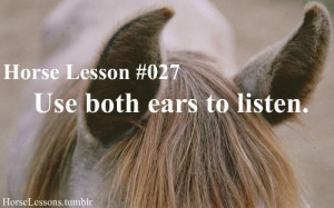 Found on horselessons.tumblr.com