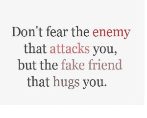 Top Best Friendship Quotes for 2015