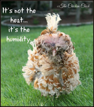 It's not the heat, it's the humidity.