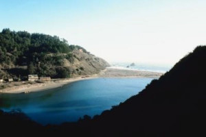 Designed Tiago Fernandes...