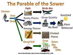 Parable of the Sower! Good Visual/Diagram!