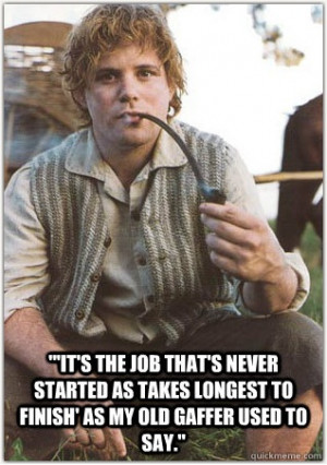 Lord of the Rings Samwise