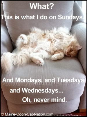 Funny Sunday Picture