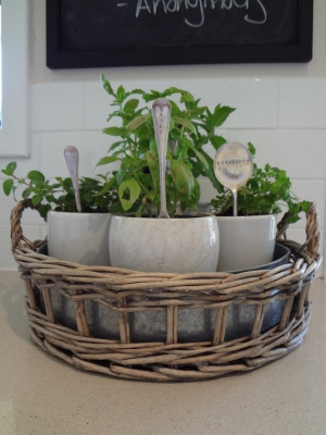 Kitchen Herb Garden Ideas (12 Pics)