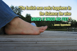 Inspirational Quote: “The foolish man seeks happiness in the ...