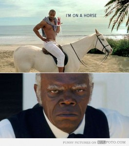 funny django horse-W630