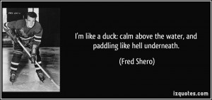 like a duck: calm above the water, and paddling like hell ...