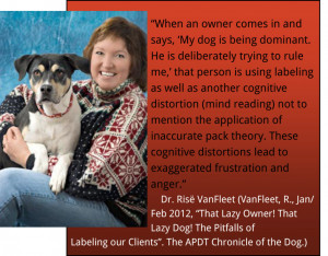 Animal Assisted Therapy Quotes