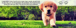 Dog Doesn't Care Facebook Cover
