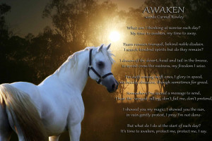 Horse Poems And Quotes