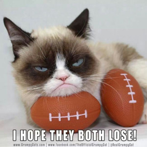 Super Bowl. Grumpy Cat.
