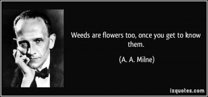 quote-weeds-are-flowers-too-once-you-get-to-know-them-a-a-milne-127990 ...