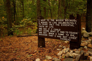 Description Thoreaus quote near his cabin site, Walden Pond.jpg