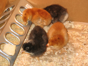 Ready For Warm Weather Quotes By march i was ready to start