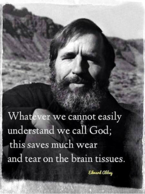 Whatever we cannot easily understand we call God; this saves much wear ...