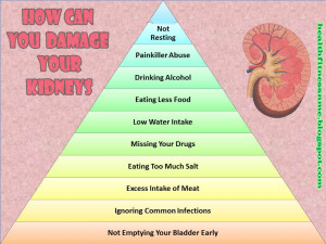 Each year, lots of people die of kidney disease all over the world ...