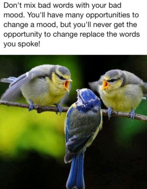 Don’t mix bad words with your bad mood . You’ll have many ...