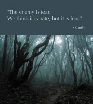 The enemy is fear. We think it is hate, but it is fear. ~ Gandhi ~