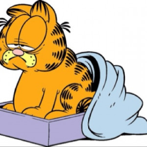 , Garfield Rise, Mornings Already, Mondays Mornings, Amusement Quotes ...