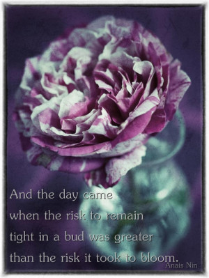 ... in a bud was greater than the risk it took to bloom, quote anais nin