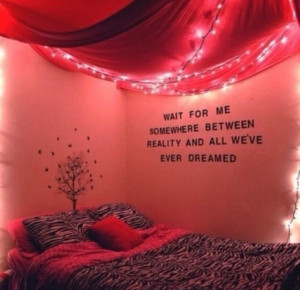 Love the lights and quote